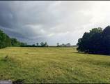 167 Rogers Road - Photo 4