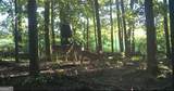 167 Rogers Road - Photo 8