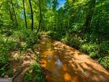 29 ACRES Cochran Road - Photo 1