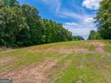 29 ACRES Cochran Road - Photo 10