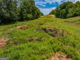 29 ACRES Cochran Road - Photo 15