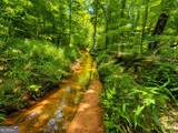 29 ACRES Cochran Road - Photo 5