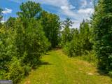 29 ACRES Cochran Road - Photo 8