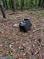 330 Wild Azalea Trail - Photo 11