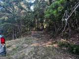 330 Wild Azalea Trail - Photo 3