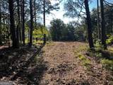 330 Wild Azalea Trail - Photo 9