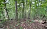 LOT 19 Bear Trail - Photo 2