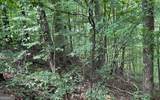 LOT 19 Bear Trail - Photo 5