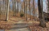 LOT 19 Bear Trail - Photo 6