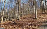 LOT 19 Bear Trail - Photo 7