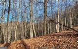 LOT 19 Bear Trail - Photo 9