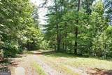 191+/- ACRES Off Hwy. 136 Highway - Photo 24