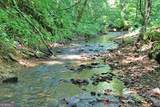 191+/- ACRES Off Hwy. 136 Highway - Photo 29