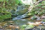 191+/- ACRES Off Hwy. 136 Highway - Photo 31