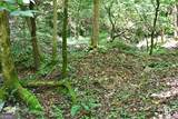 191+/- ACRES Off Hwy. 136 Highway - Photo 32