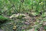 191+/- ACRES Off Hwy. 136 Highway - Photo 34