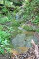 191+/- ACRES Off Hwy. 136 Highway - Photo 35