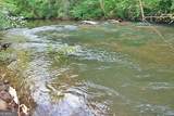 191+/- ACRES Off Hwy. 136 Highway - Photo 65