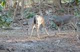 191+/- ACRES Off Hwy. 136 Highway - Photo 71