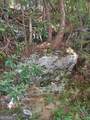 191+/- ACRES Off Hwy. 136 Highway - Photo 78