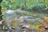 191+/- ACRES Off Hwy. 136 Highway - Photo 79