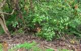 LOT 50A Eagles View - Photo 13
