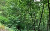 LOT 50A Eagles View - Photo 23