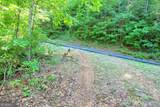 0 Raven Fork Trail - Photo 8