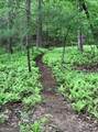 398 Dancing Trees Trail - Photo 15