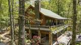 852 Black Bear Den Road - Photo 1
