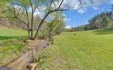 202 Dove Lane - Photo 77