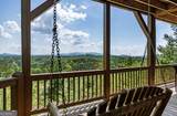 147 Little Bluff Trail - Photo 14