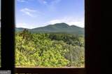 147 Little Bluff Trail - Photo 66