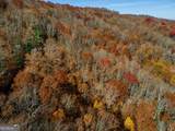 36 Utana Bluffs Trail - Photo 16