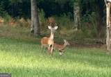 2150 Bobby Brown State Park Road - Photo 26