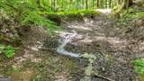 402 Picklesimer Mtn Trail - Photo 62