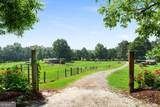 669 Nicklesville Road - Photo 14