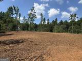 LOT 4 Happy Hollow Road - Photo 6