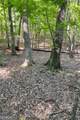 90 Cardinal Cove - Photo 1