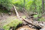 90 Cardinal Cove - Photo 4