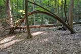 90 Cardinal Cove - Photo 6