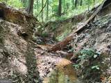 TRACT A Wineberger Road - Photo 12