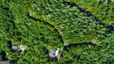 LOT 17 Misty Mountain Trail - Photo 24