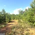 0 County Road 49 - Photo 4