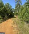 0 County Road 49 - Photo 5