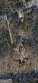 9011 Highpoint Road - Photo 41