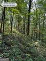 6180 Burnt Mountain Road - Photo 10