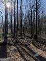 6180 Burnt Mountain Road - Photo 13