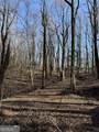 6180 Burnt Mountain Road - Photo 14