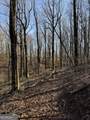 6180 Burnt Mountain Road - Photo 15